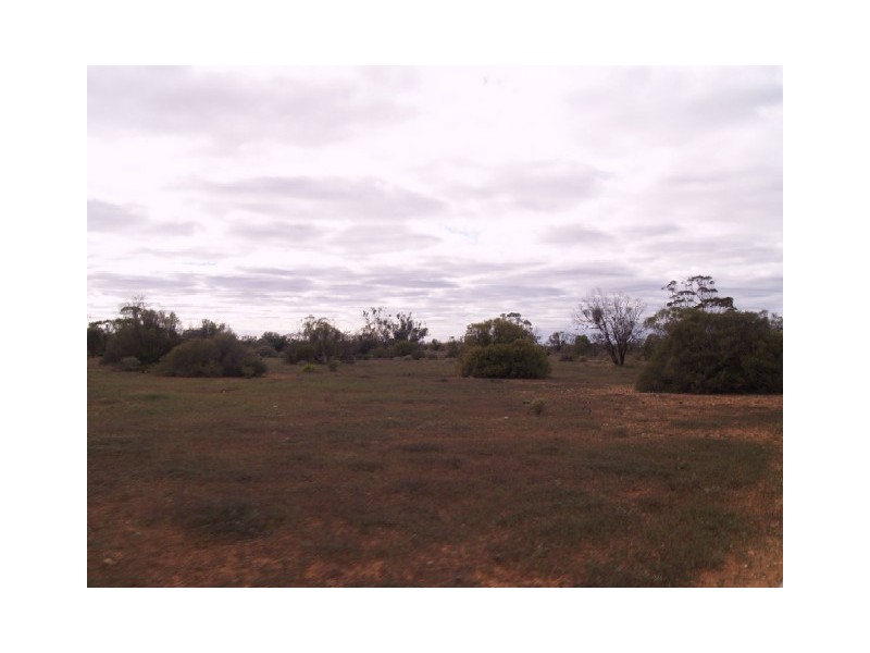 Sect 199 Hundred of Eba, Morgan SA 5320