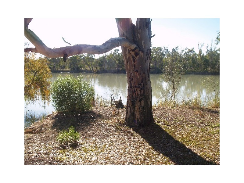 Lot 143 Scotts Creek, Morgan SA 5320