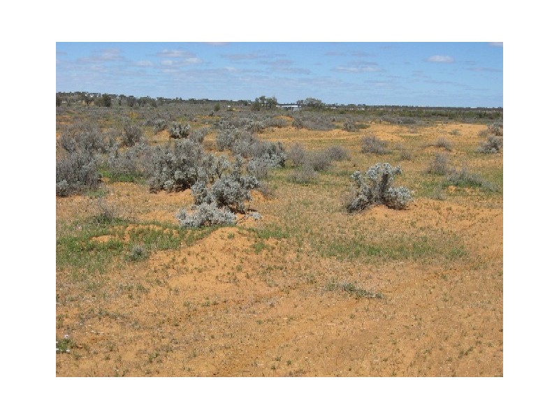 Sect 368 Hundred of Eba, Morgan SA 5320