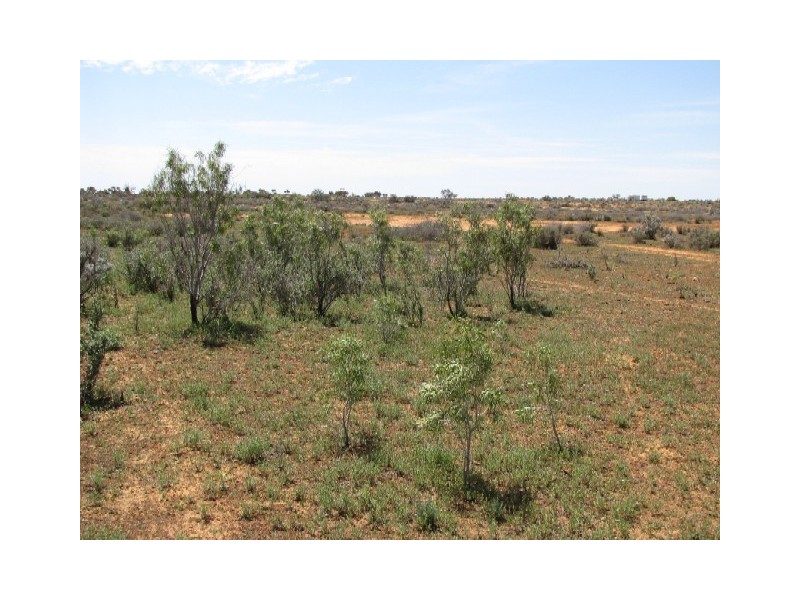 Sect 368 Hundred of Eba, Morgan SA 5320