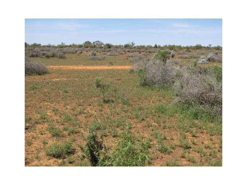 Sect 362 Hundred of Eba, Morgan SA 5320