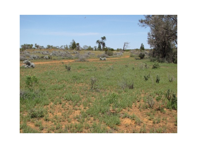 Sect 362 Hundred of Eba, Morgan SA 5320