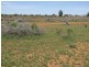 Sect 362 Hundred of Eba, Morgan SA 5320