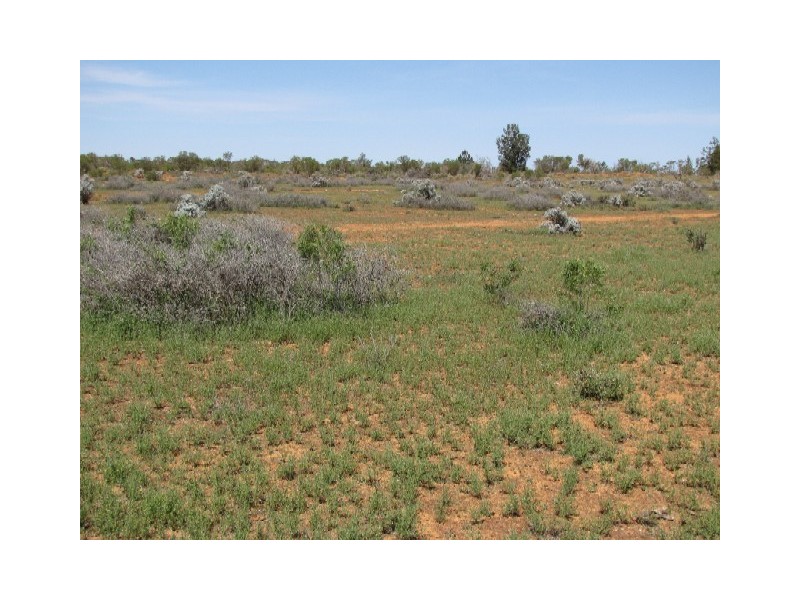 Sect 362 Hundred of Eba, Morgan SA 5320
