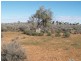 Sect 30 Hundred of Eba, Morgan SA 5320
