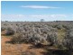 Sect 30 Hundred of Eba, Morgan SA 5320