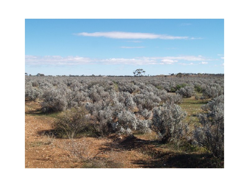 Sect 30 Hundred of Eba, Morgan SA 5320