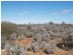 Sect 30 Hundred of Eba, Morgan SA 5320