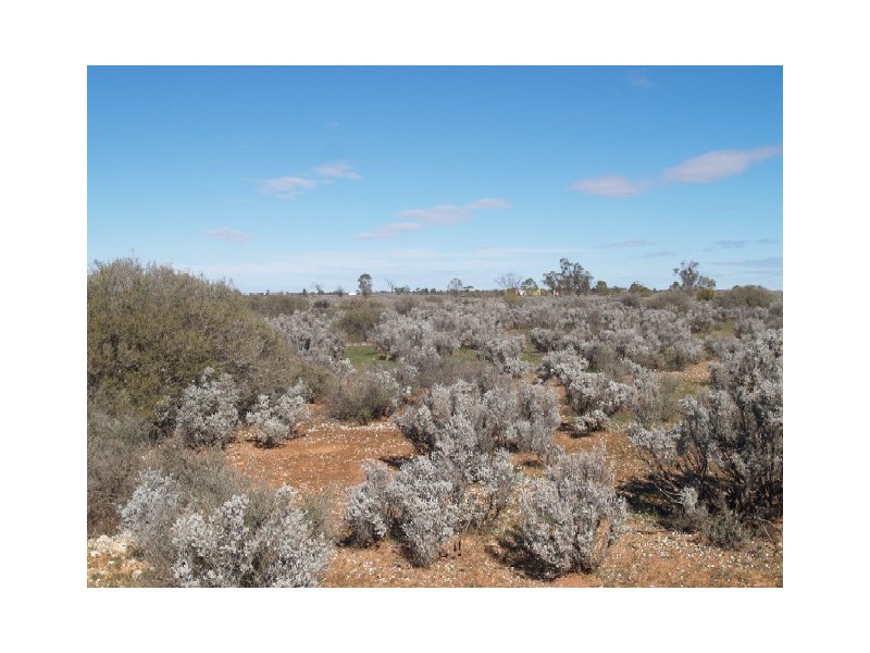 Sect 30 Hundred of Eba, Morgan SA 5320