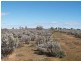 Sect 30 Hundred of Eba, Morgan SA 5320