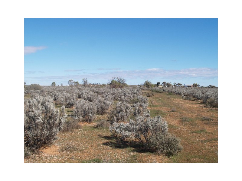 Sect 30 Hundred of Eba, Morgan SA 5320