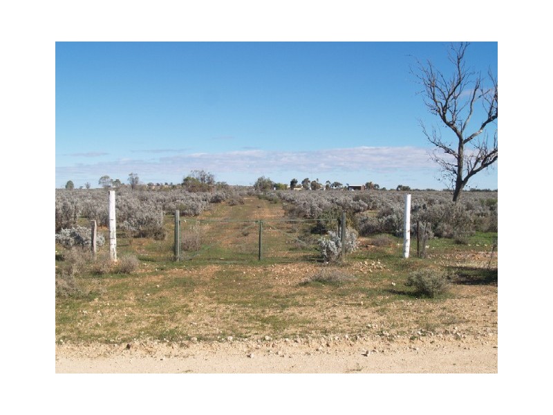 Sect 30 Hundred of Eba, Morgan SA 5320