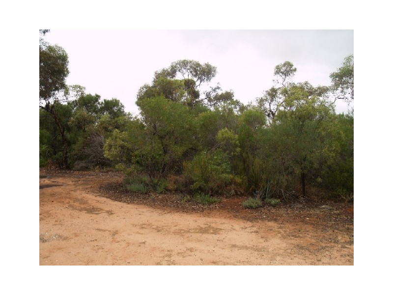 47 Kruesler Road, Waikerie SA 5330