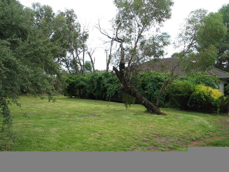 Cadell Road via Waikerie, Waikerie SA 5330