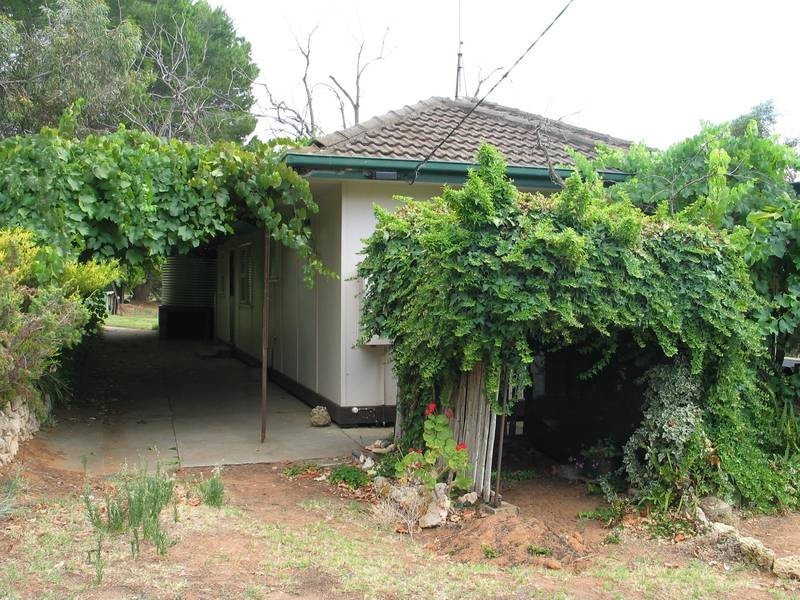 Cadell Road via Waikerie, Waikerie SA 5330