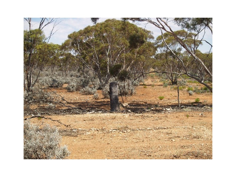 278 Hundred of Eba, Morgan SA 5320