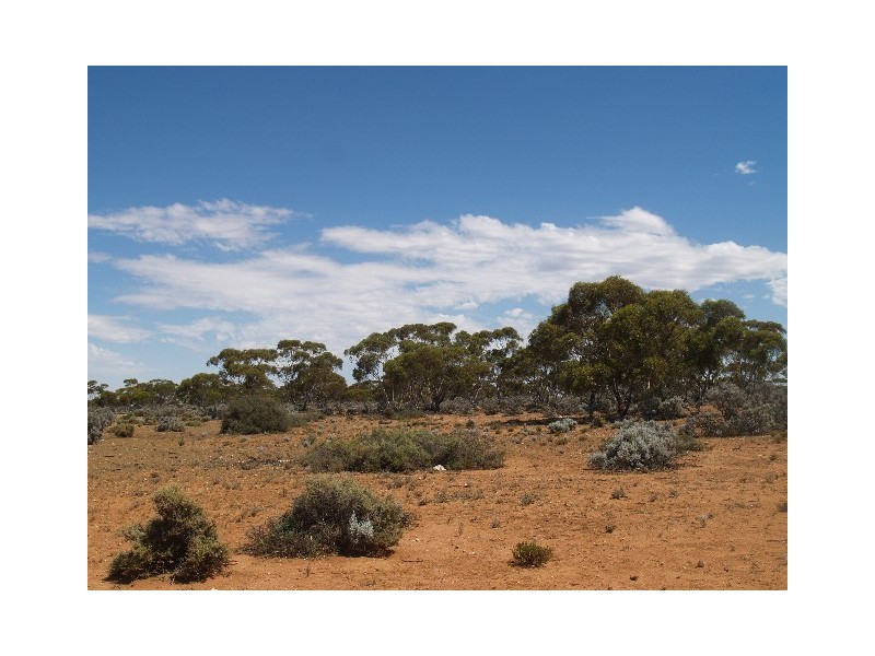 278 Hundred of Eba, Morgan SA 5320