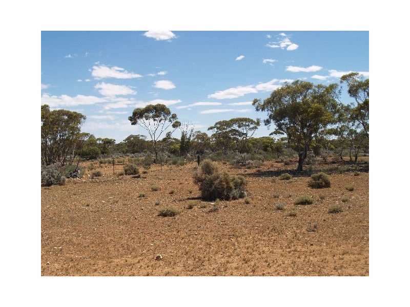 278 Hundred of Eba, Morgan SA 5320