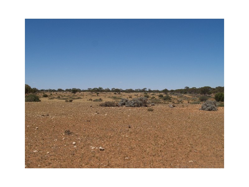 278 Hundred of Eba, Morgan SA 5320