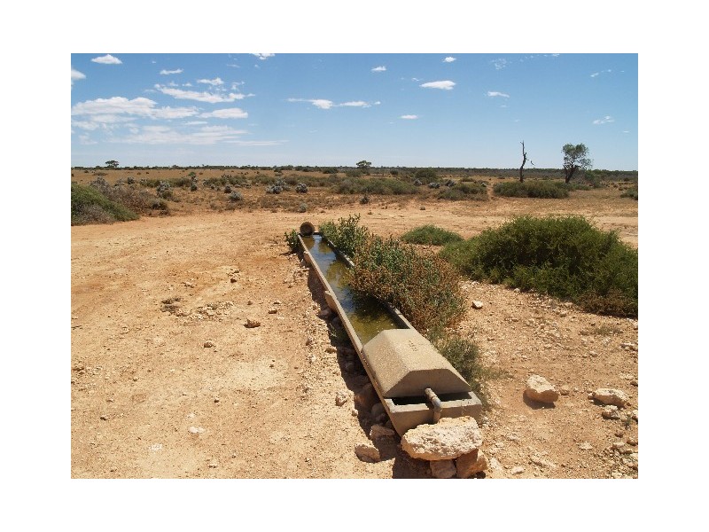 278 Hundred of Eba, Morgan SA 5320