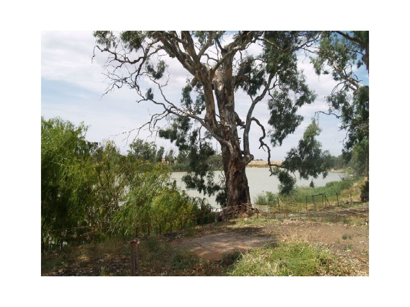 Lot 5 Government Road, Blanchetown SA 5357