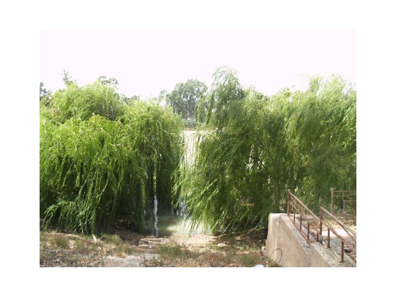 Lot 5 Government Road, Blanchetown SA 5357