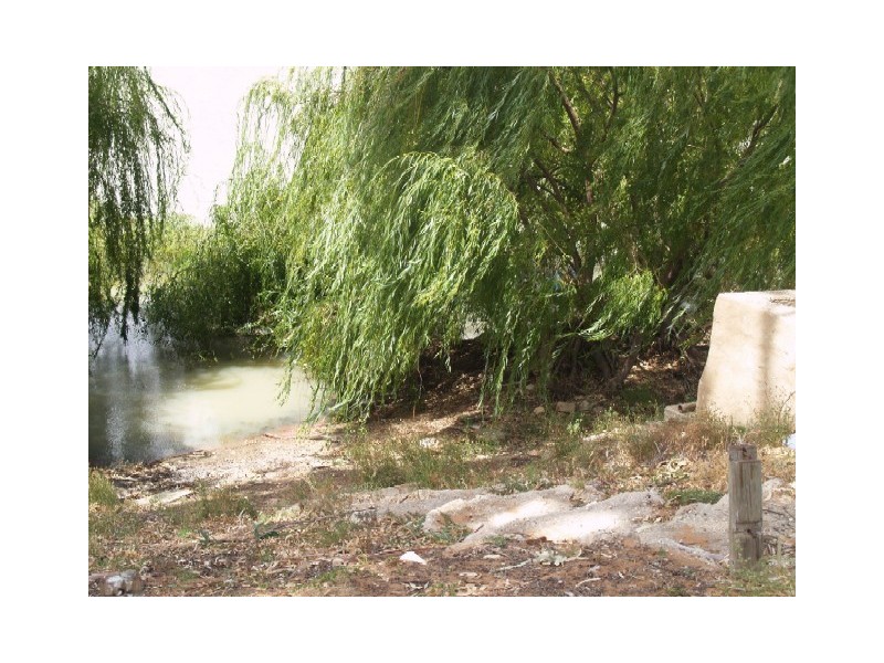 Lot 5 Government Road, Blanchetown SA 5357