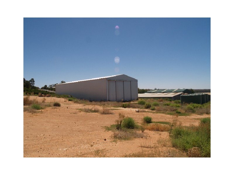 102 Cadell Valley Road, Ramco SA 5322