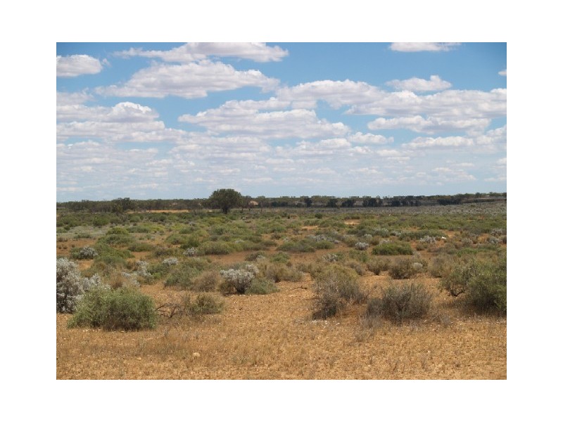 Sect 115 Yandiah Road Hundred of Eba, Morgan SA 5320