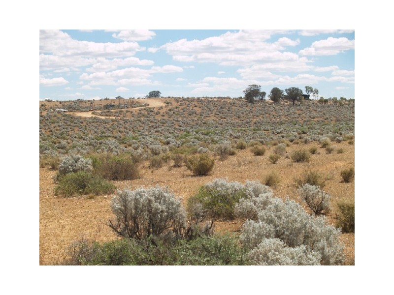 Sect 115 Yandiah Road Hundred of Eba, Morgan SA 5320