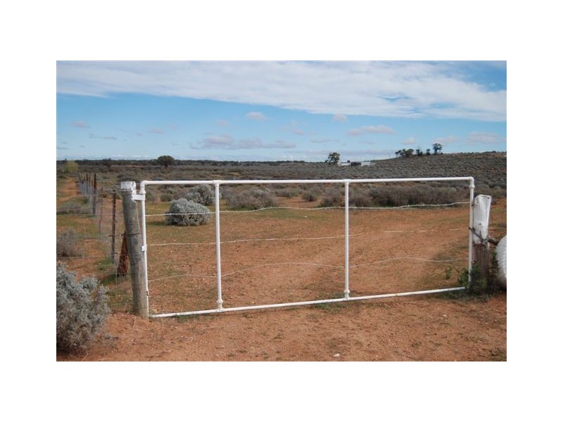 Sect 115 Yandiah Road Hundred of Eba, Morgan SA 5320
