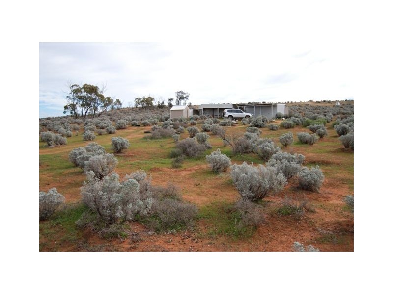 Sect 115 Yandiah Road Hundred of Eba, Morgan SA 5320