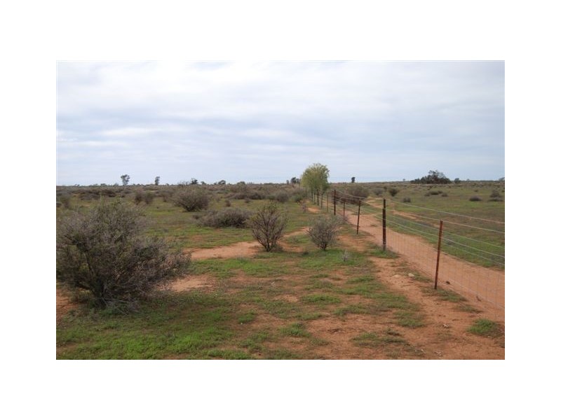 Sect 115 Yandiah Road Hundred of Eba, Morgan SA 5320