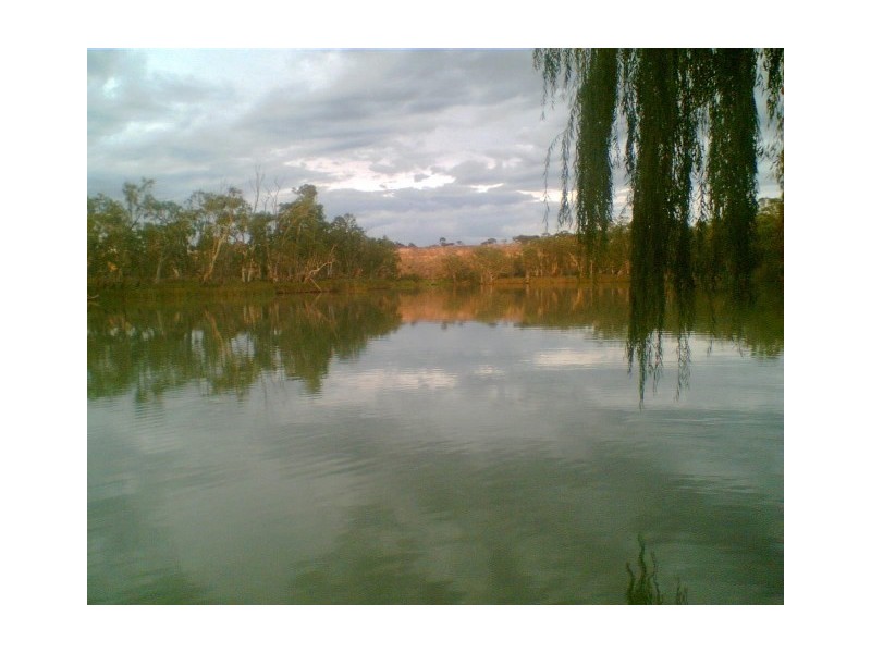 Lot 210 Scotts Creek, Morgan SA 5320