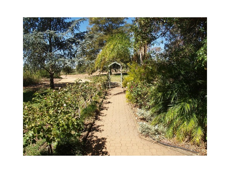 150 Vasey Road, Waikerie SA 5330