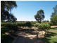 150 Vasey Road, Waikerie SA 5330