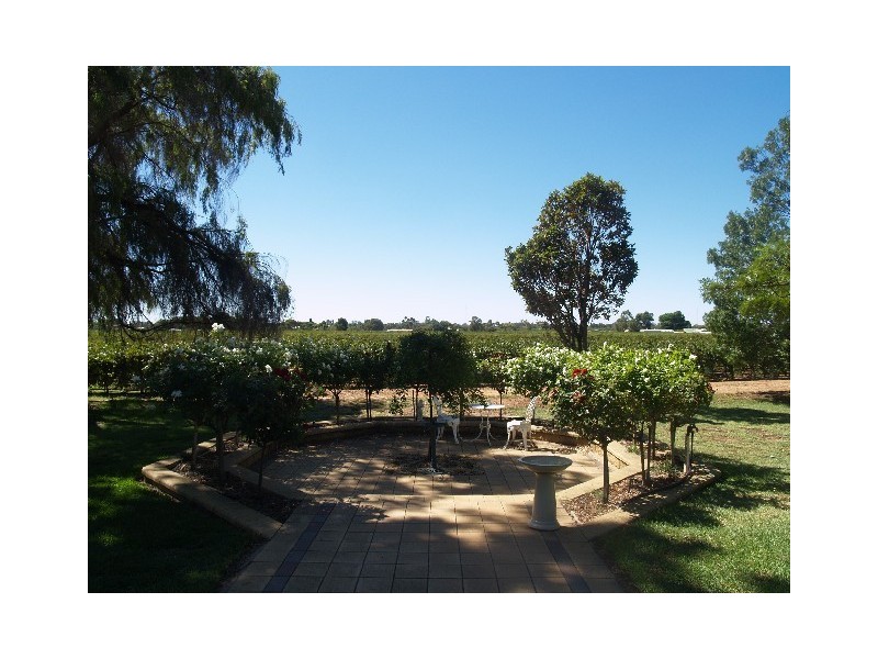 150 Vasey Road, Waikerie SA 5330
