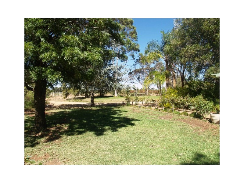 150 Vasey Road, Waikerie SA 5330