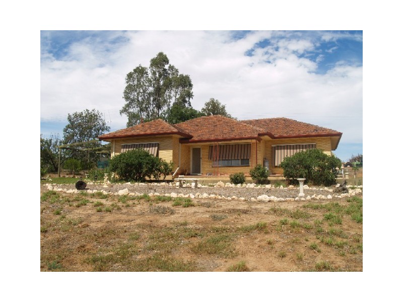 Lot 21 Kingston Road, New Residence, Loxton SA 5333
