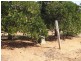 Lot 114,  Thompson Road, Sunlands SA 5322