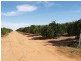 Lot 114,  Thompson Road, Sunlands SA 5322