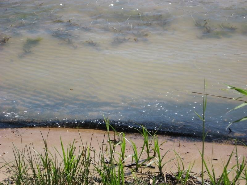 Lot 1 Murbko Road, Morgan SA 5320