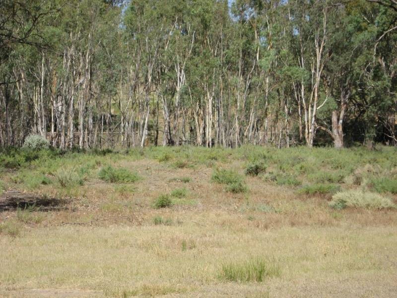 Lot 1 Murbko Road, Morgan SA 5320