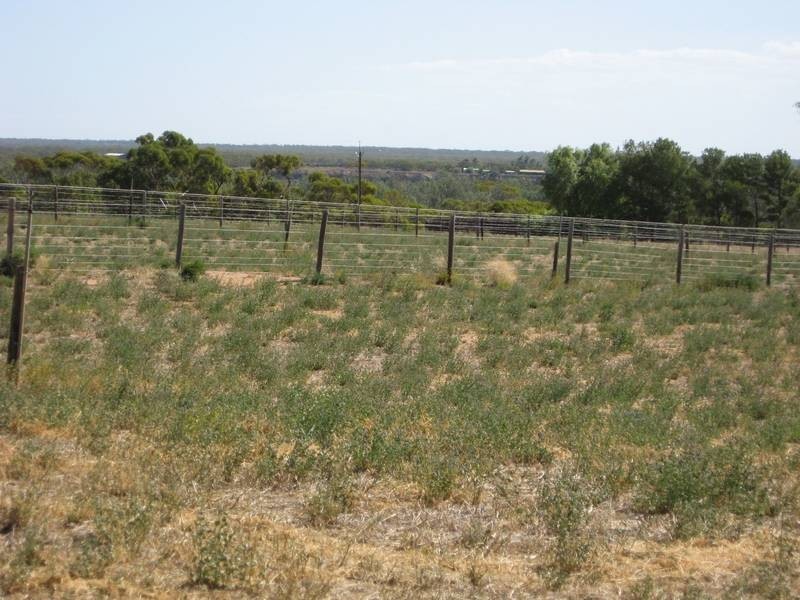 Lot 1 Murbko Road, Morgan SA 5320