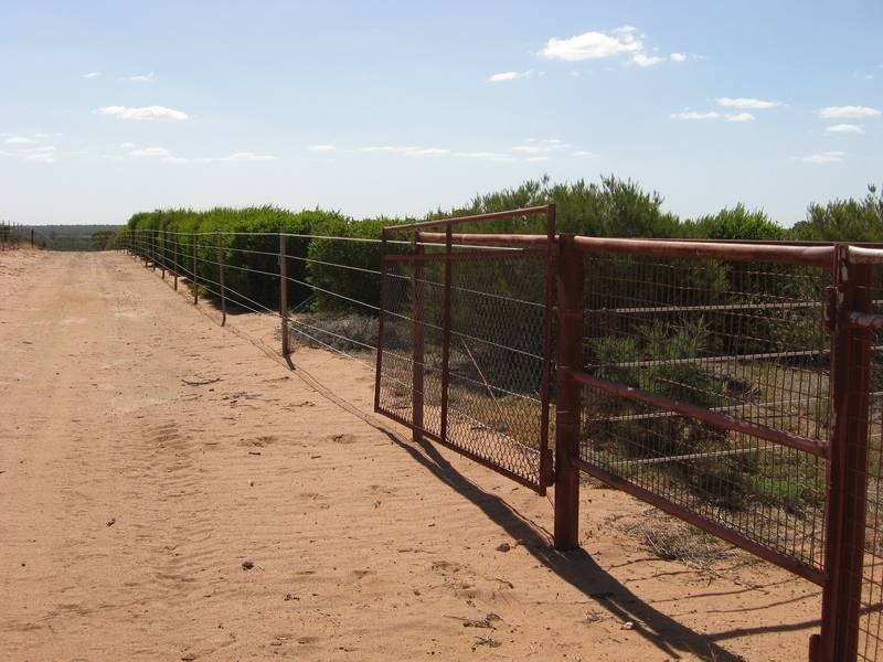 Lot 1 Murbko Road, Morgan SA 5320