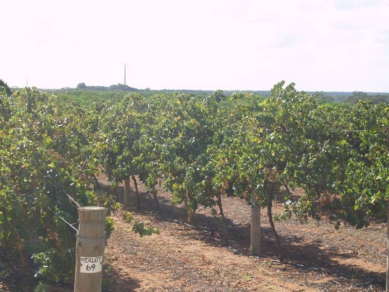 Lot 54,  Cadell Road, Cadell SA 5321
