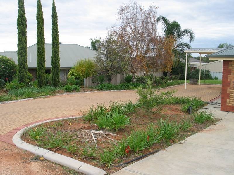 8 Mary Starr Drive, Waikerie SA 5330