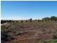 2036 Cadell Valley Road, Sunlands SA 5322