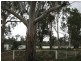 133 Page Drive, Blanchetown SA 5357