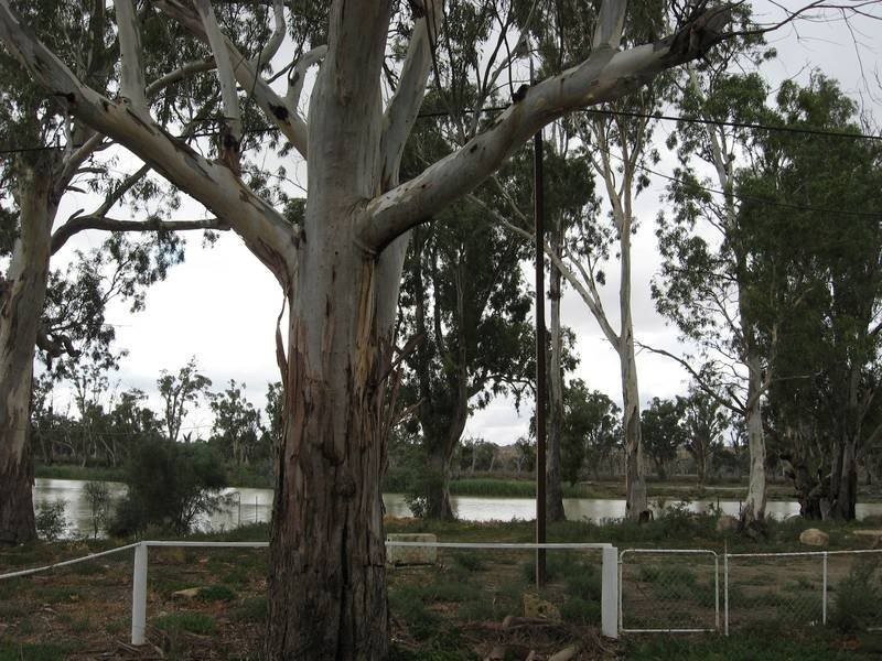 133 Page Drive, Blanchetown SA 5357